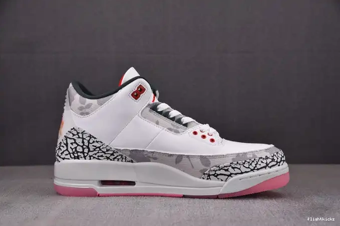 3 Wings HM6993-100 Jordan Retro 0530